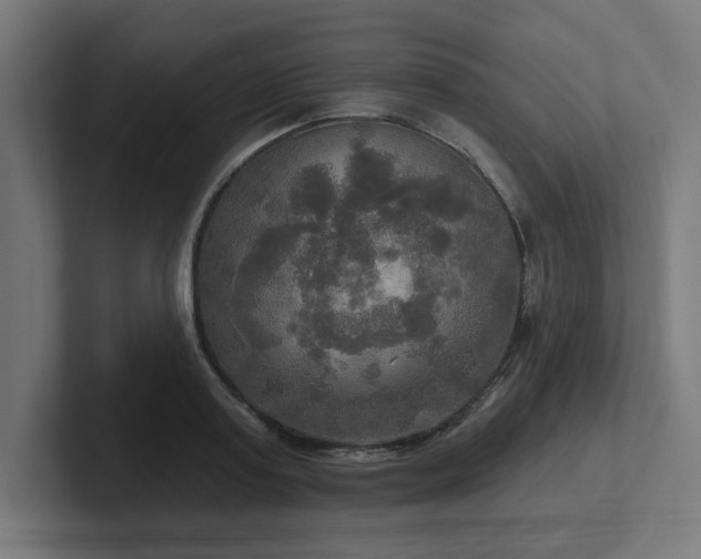X0000102410795200808011606