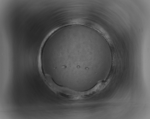X0000102410796200808011606