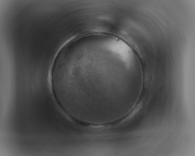 X0000102410798200808011606