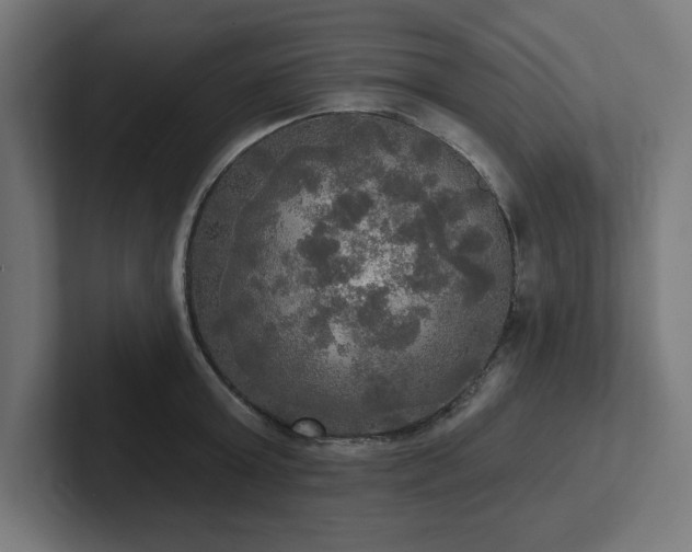 X0000102410803200808011606