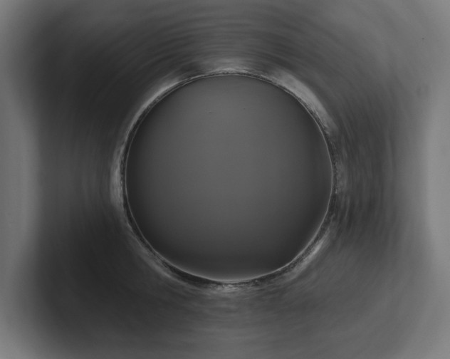 X0000102410806200808011606