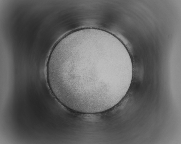 X0000102410807200808011606