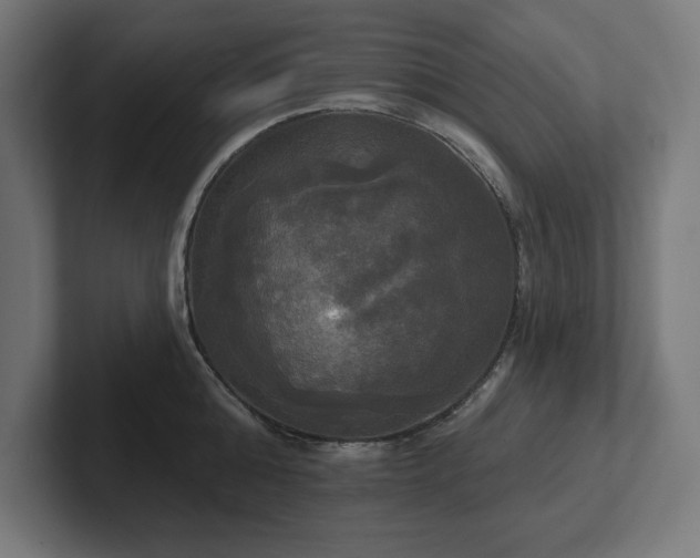 X0000102410808200808011606