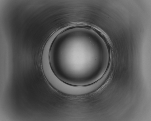 X0000102410809200808011606