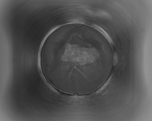 X0000102410812200808011606
