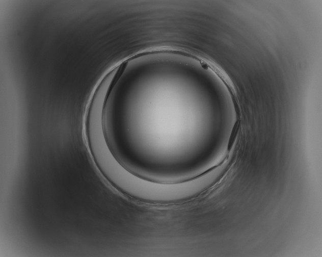 X0000102410813200808011606