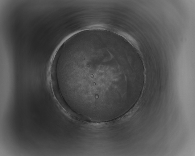 X0000102410816200808011606