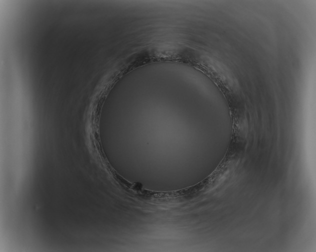 X0000102410817200808011605