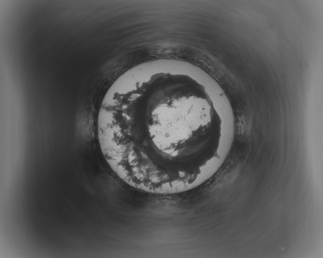 X0000102410820200808011605