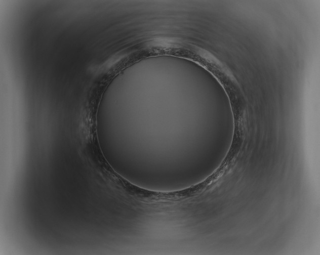 X0000102410822200808011605