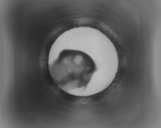 X0000102410824200808011605