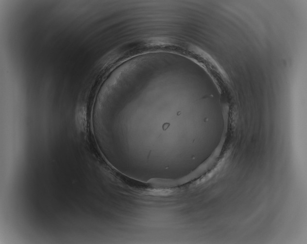 X0000102410825200808011605