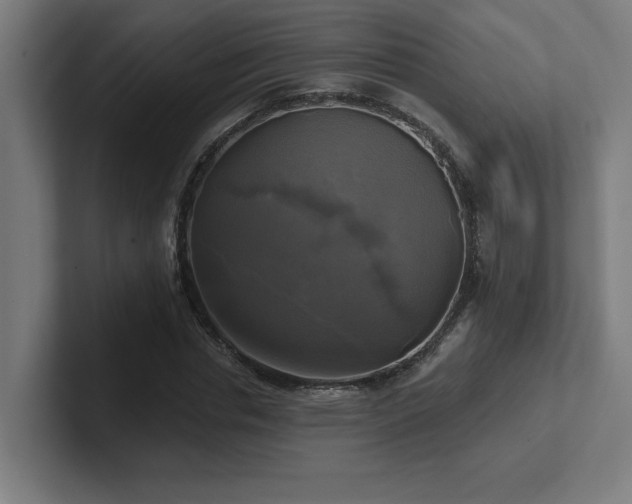 X0000102410826200808011605