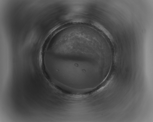X0000102410829200808011605