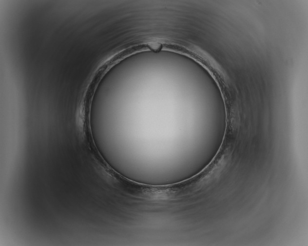 X0000102410831200808011605