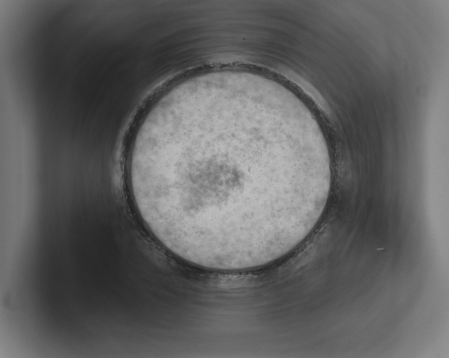 X0000102410832200808011605