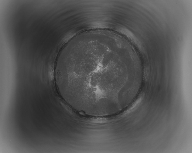 X0000102410833200808011605