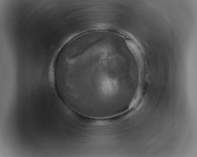 X0000102410835200808011606