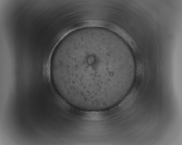X0000102410836200808011606