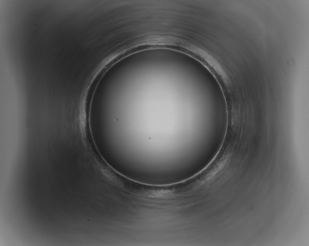 X0000102410837200808011606
