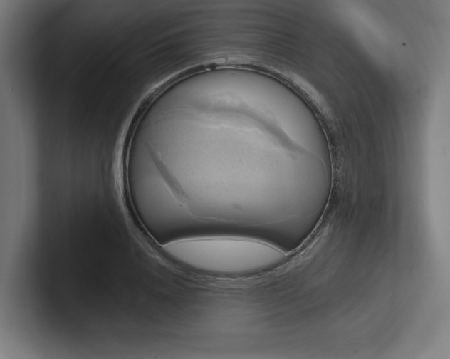 X0000102410840200808011606