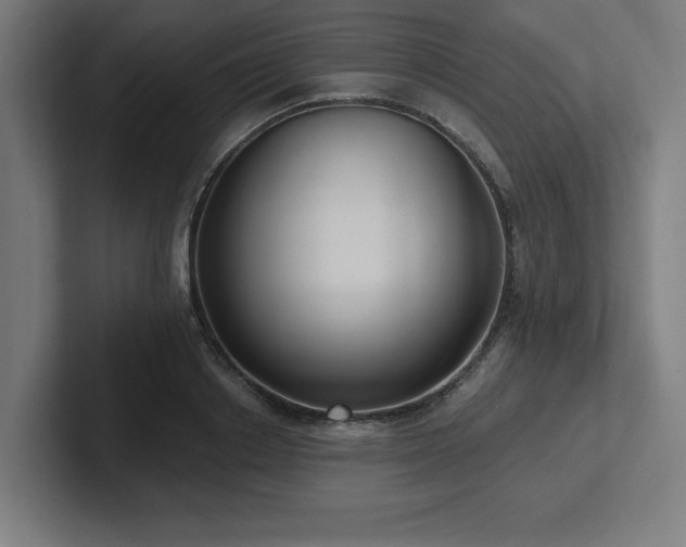 X0000102410842200808011606