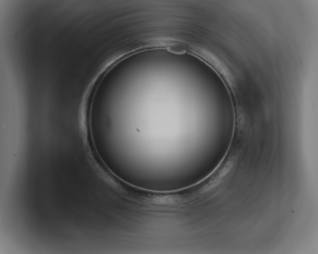 X0000102410843200808011606