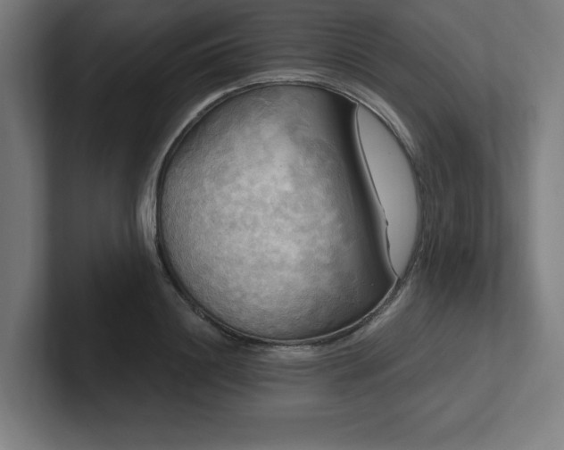 X0000102410844200808011606