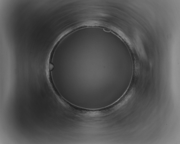 X0000102410845200808011606