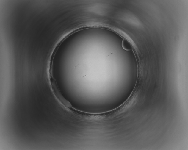 X0000102410847200808011606