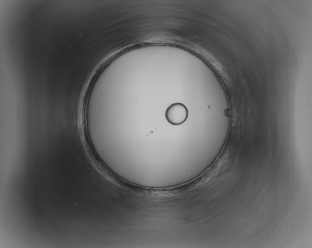 X0000102410848200808011606