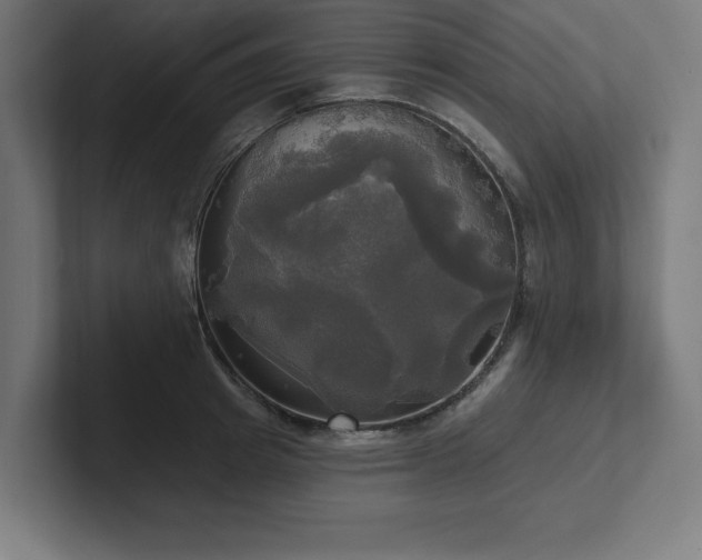 X0000102410849200808011606