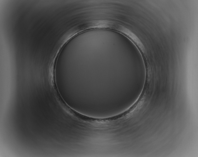 X0000102410850200808011606