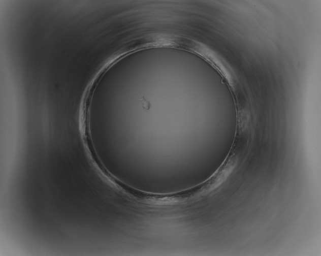 X0000102410851200808011606