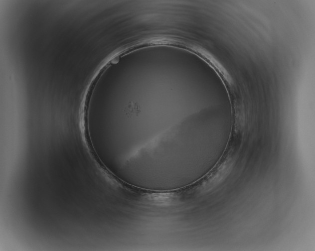 X0000102410853200808011606