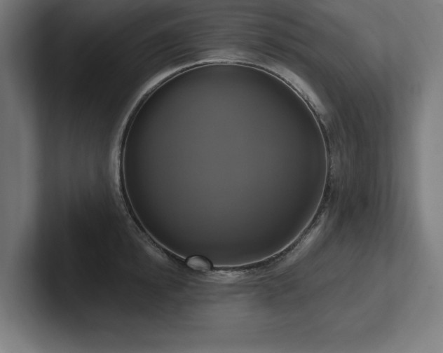 X0000102410854200808011606