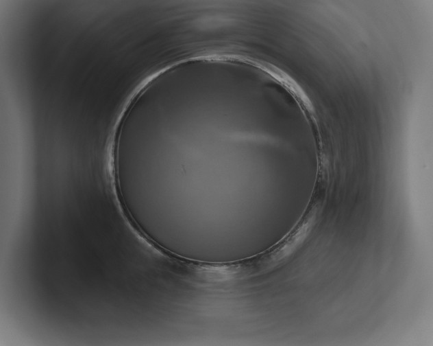 X0000102410855200808011606