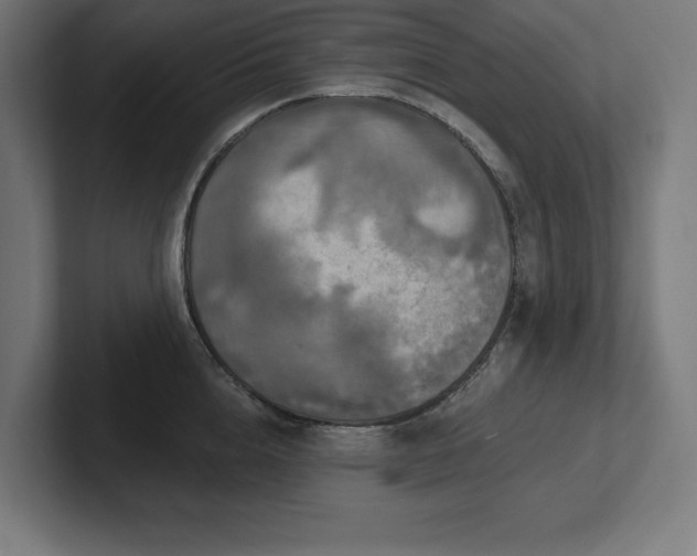 X0000102410856200808011606