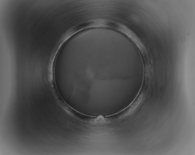 X0000102410858200808011606
