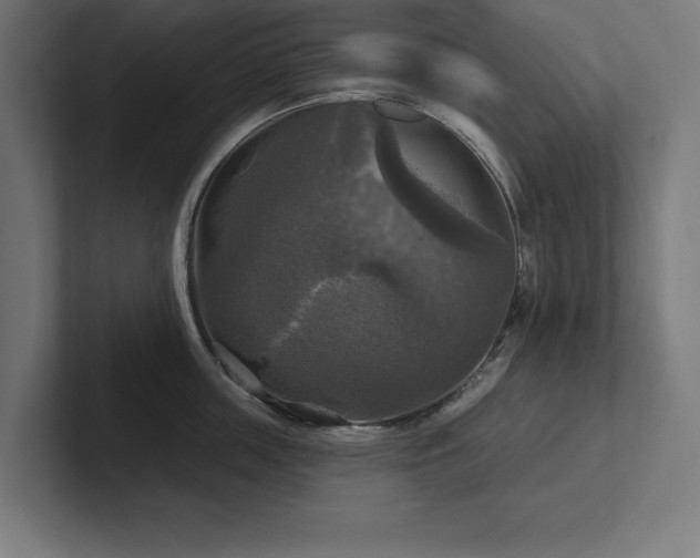X0000102410859200808011606