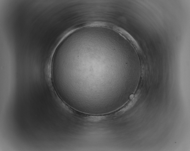X0000102410860200808011606