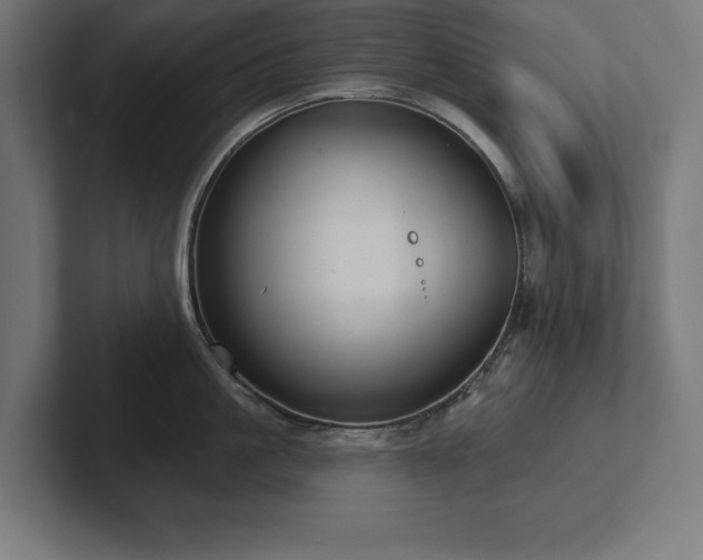 X0000102410861200808011606
