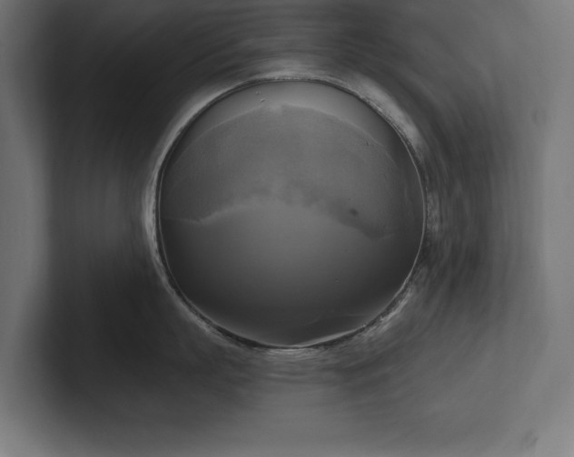 X0000102410863200808011606