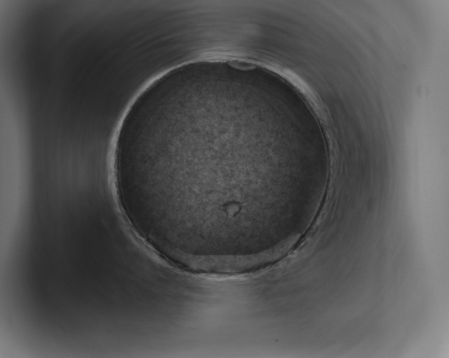 X0000102410864200808011606