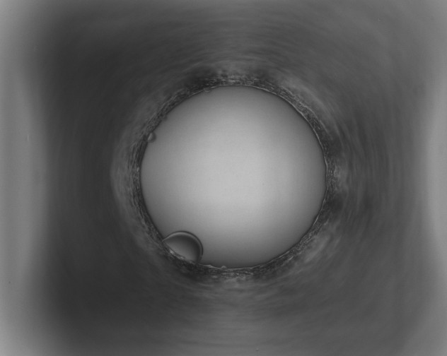 X0000102410865200808011605