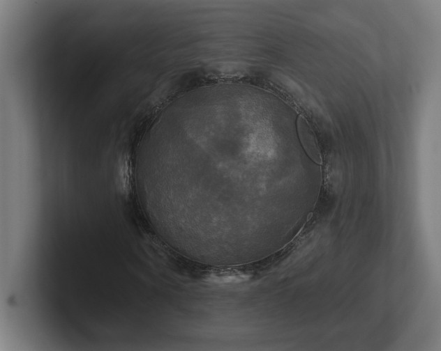 X0000102410866200808011605