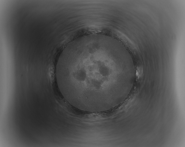 X0000102410867200808011605