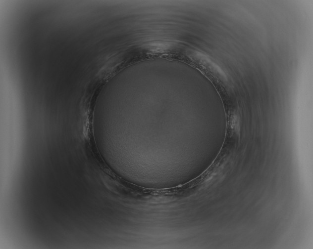 X0000102410868200808011605