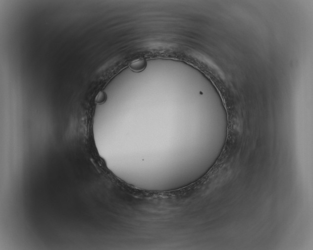 X0000102410869200808011605