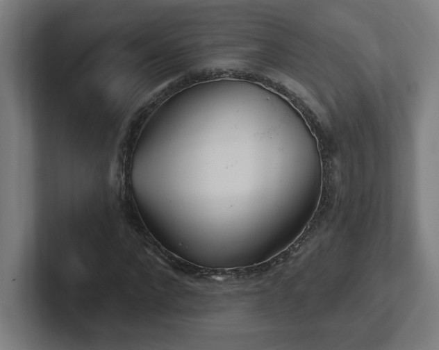 X0000102410872200808011605